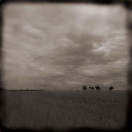 3Baum08