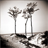 weststrand1k