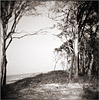 weststrand2k