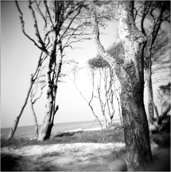 weststrand3